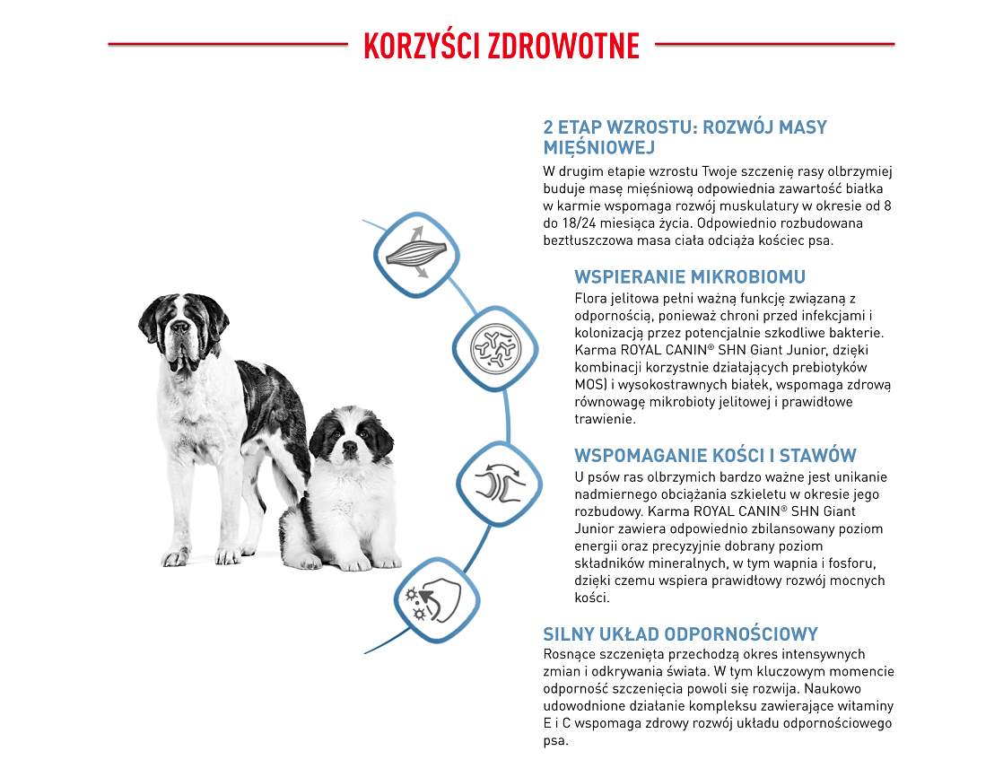 ROYAL CANIN Giant Junior 15 kg